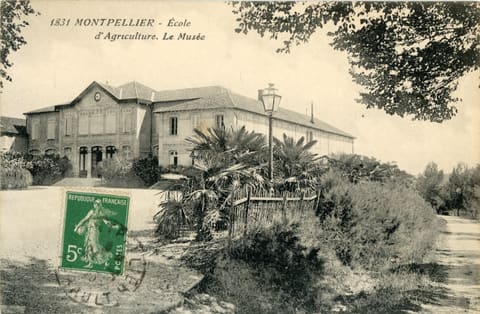 1831, Montpellier, Ecole d'Agriculture, Le musée