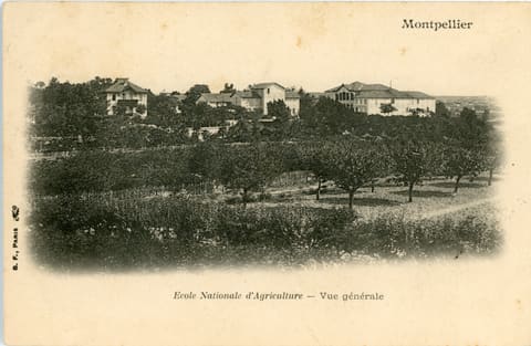 Ecole nationale d'Agriculture, vue générale
