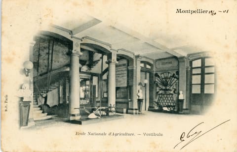 Ecole nationale d'Agriculture, vestibule