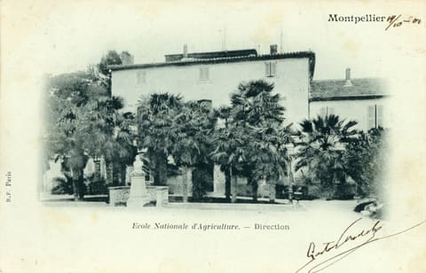 Ecole nationale d'Agriculture, Direction