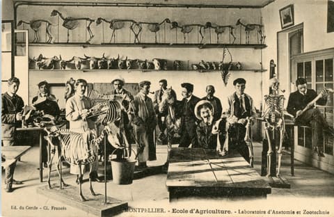 Ecole nationale d'Agriculture, Laboratoire d'Anatomie et zootechnie
