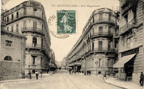 Rue maguelone