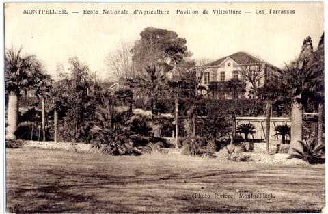 Ecole Nationale d'Agriculture Pavillon de Viticulture