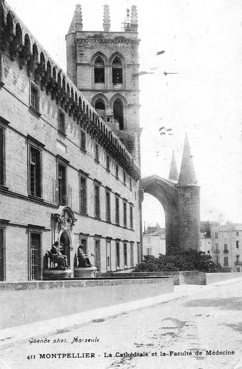 La Cathédrale et la Faculté de Médecine