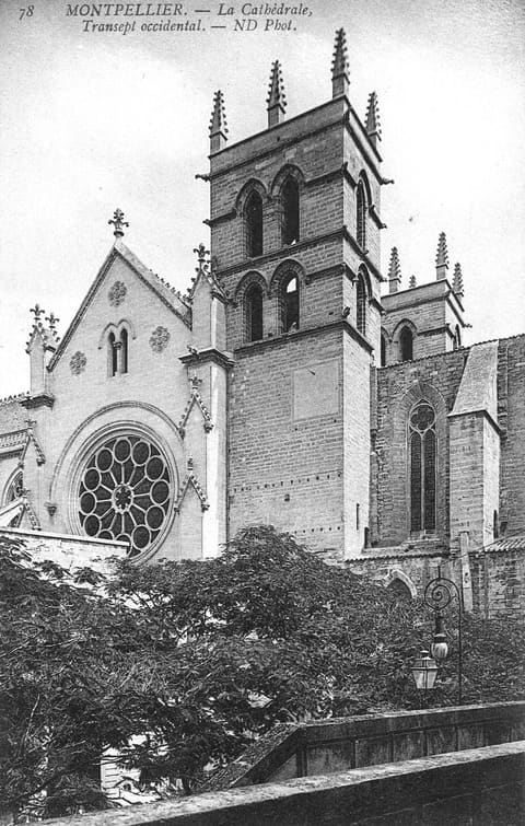 La Cathédrale Transept occidental