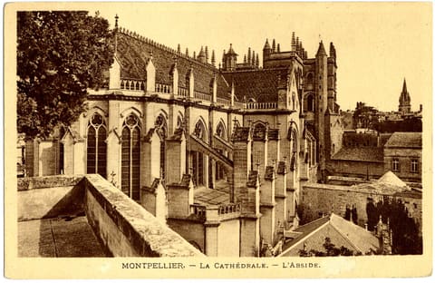 La Cathédrale L'Abside