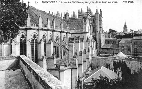 La Cathédrale vue prise de la Tour des Pins