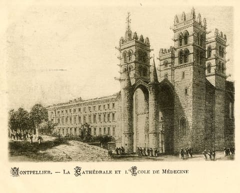 La Cathédrale et l'Ecole de Médecine