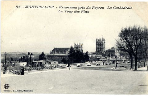 Panorama pris du Peyrou. La Cathédrale. La Tour des Pins