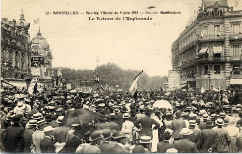 Meeting Viticole du 9 juin 1907, 600,000 Manifestants, Le Retour de l'Esplanade