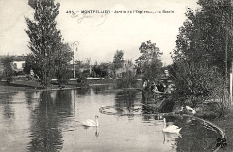 Jardin de l'Esplanade Le bassin