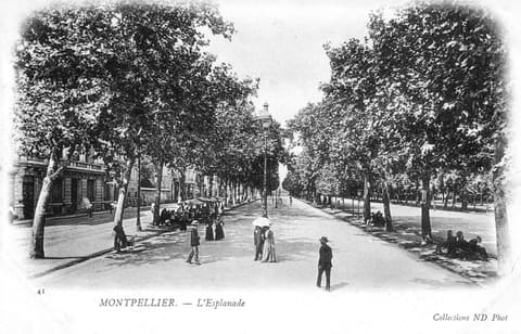 L'Esplanade