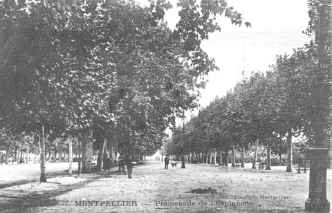 Promenade de l'Esplanade