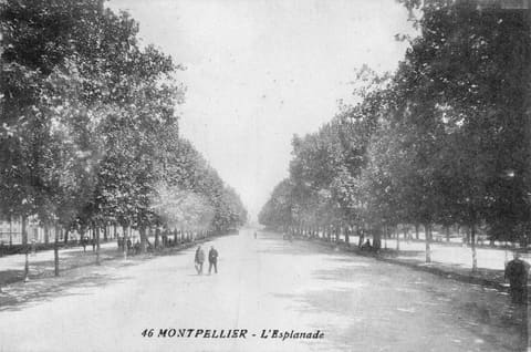 L'Esplanade