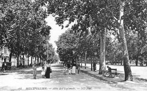 Allée de l'Esplanade