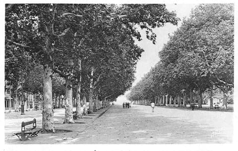 L'Esplanade