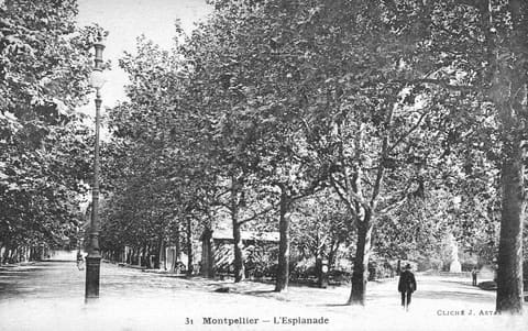 L'Esplanade