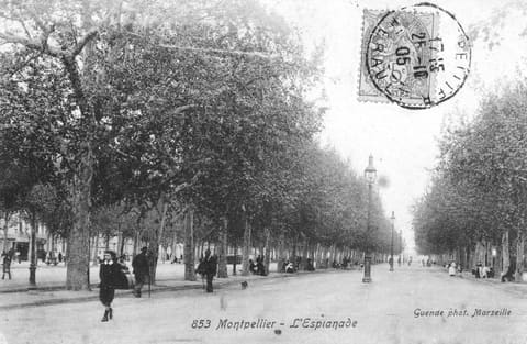 L'Esplanade
