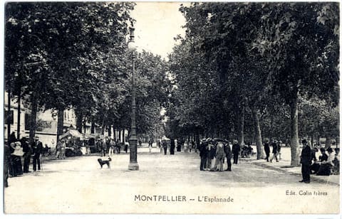 L'Esplanade