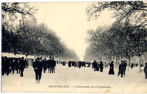 Promenade de l'Esplanade