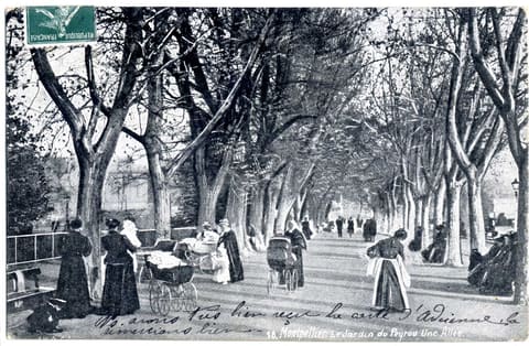 Le Jardin du Peyrou Une Allée