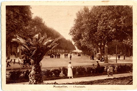 L'Esplanade