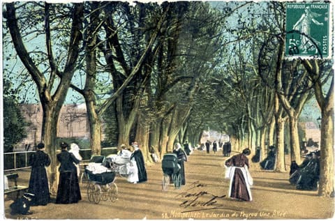 Le Jardin du Peyrou Une Allée