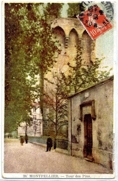 Tour des Pins