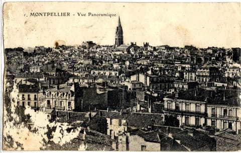 Vue Panoramique