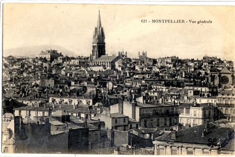 Vue générale
