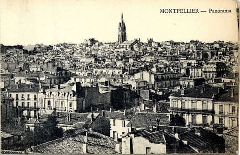 Panorama