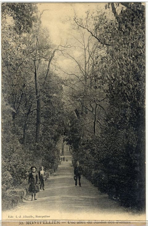 Une allée du Jardin des Plantes