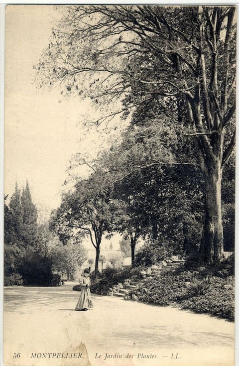 Le Jardin des Plantes
