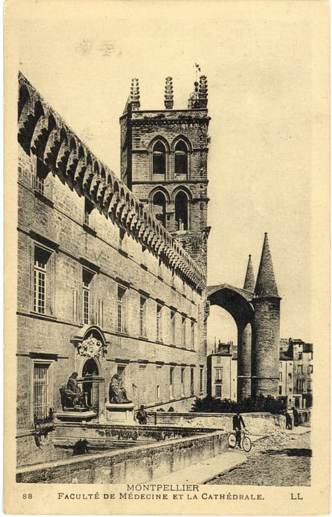 Faculté de Médecine et la Cathédrale