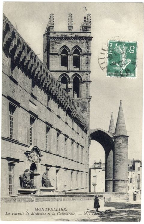 La Faculté de Médecine et la Cathédrale