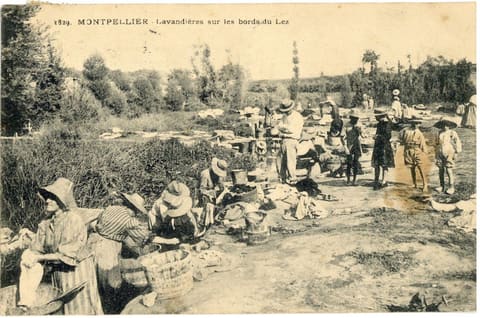 Lavandières sur les bords du Lez