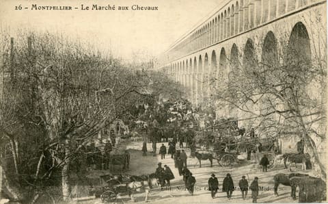 Le Marché au x Chevau x