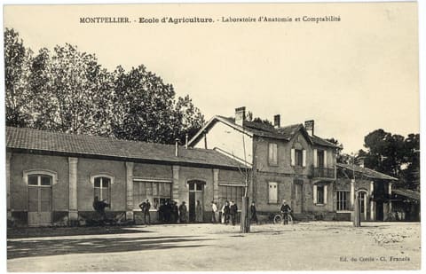 Avenue du Professeur-Louis-Ravas