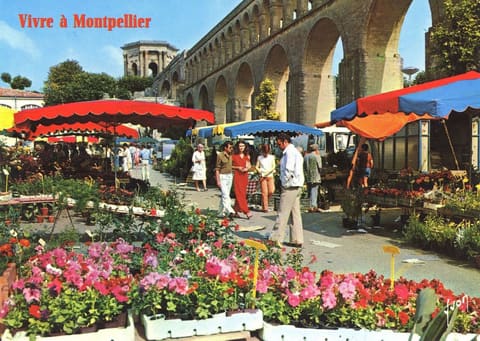 Vivre à Montpellier