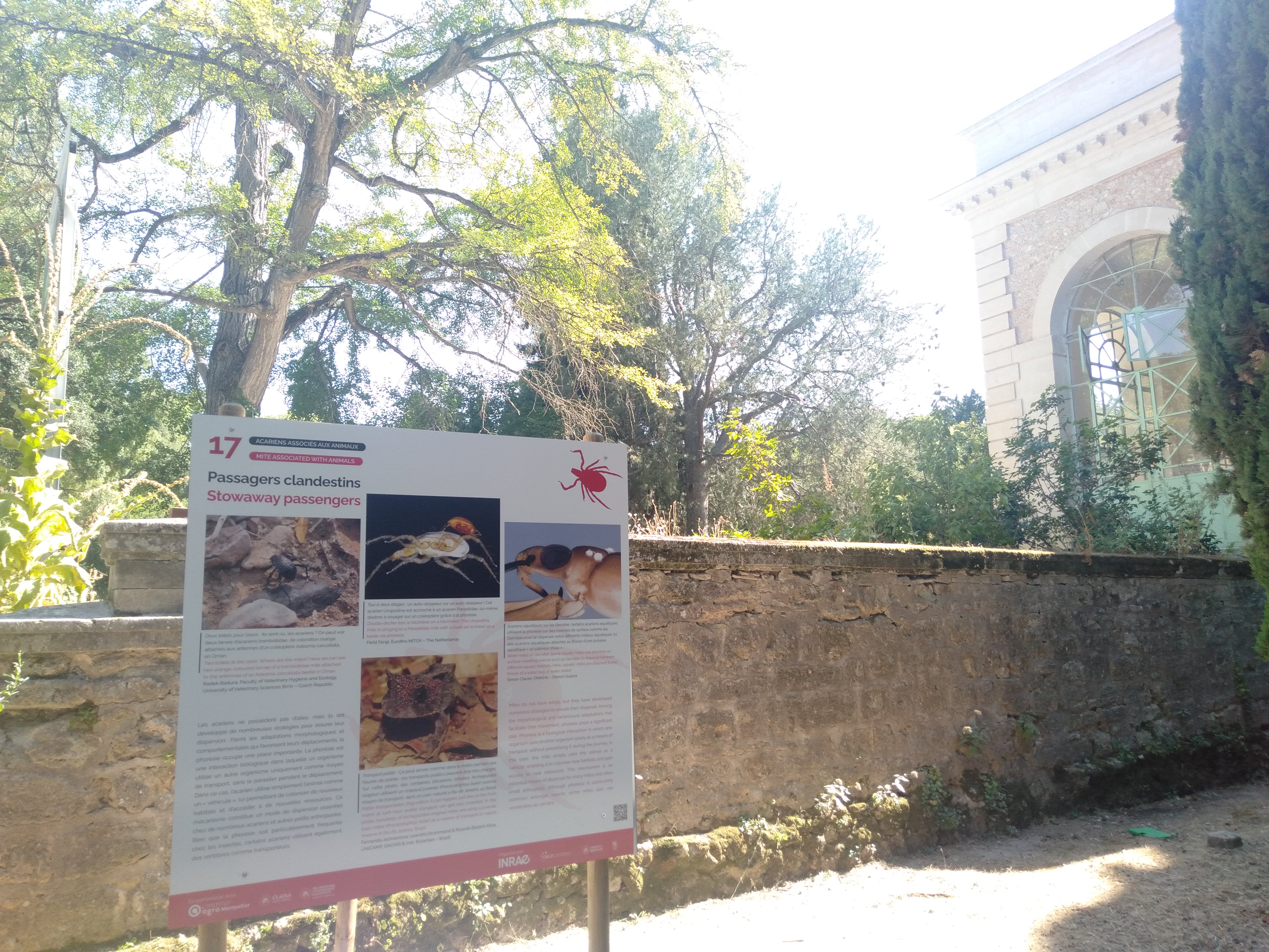 Exposition Les acariens, sentinelles du vivant, Jardin des Plantes, Montpellier (c) Fatma Alilate