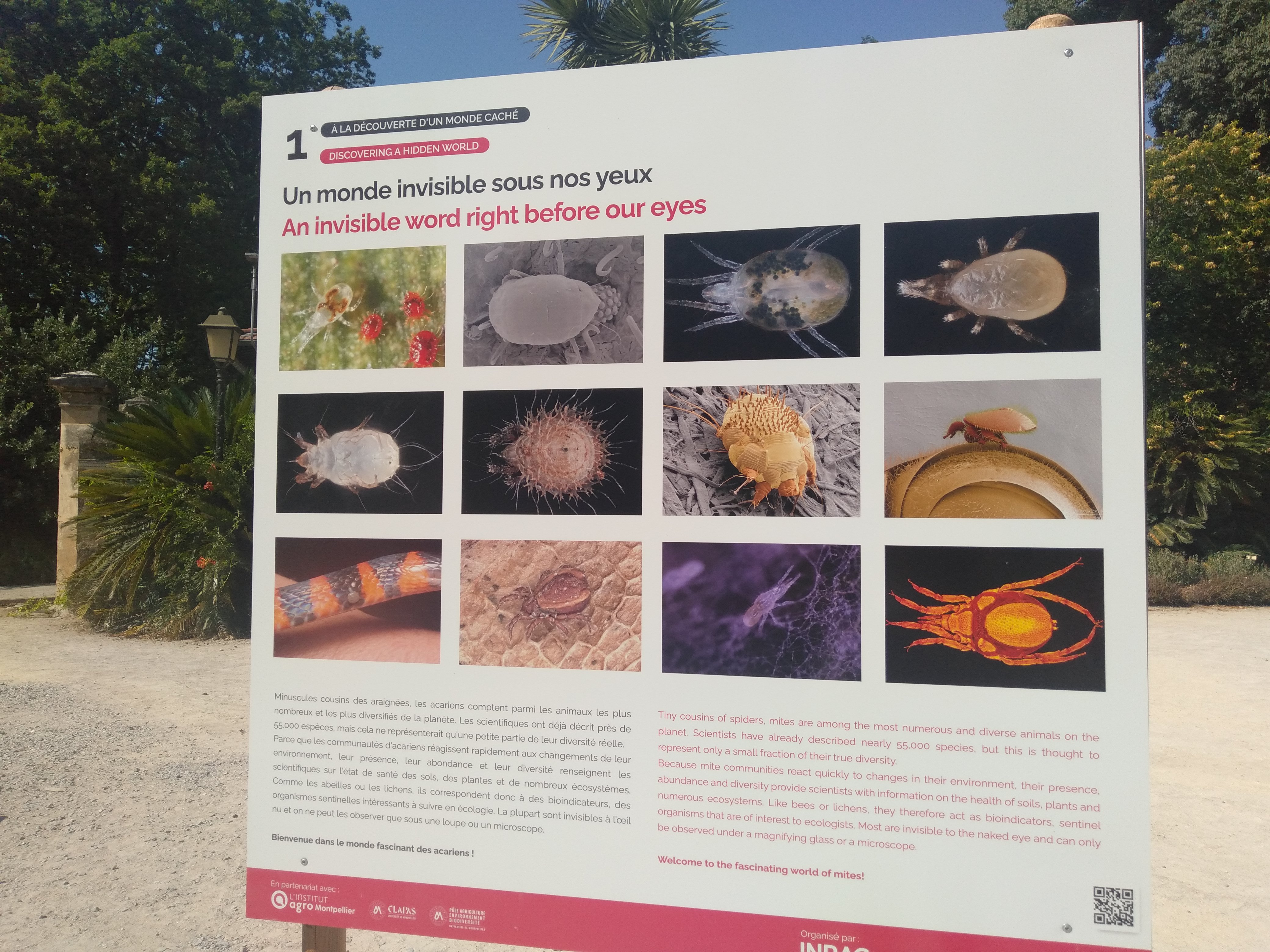 Exposition Les acariens, sentinelles du vivant, Jardin des Plantes, Montpellier (c) Fatma Alilate