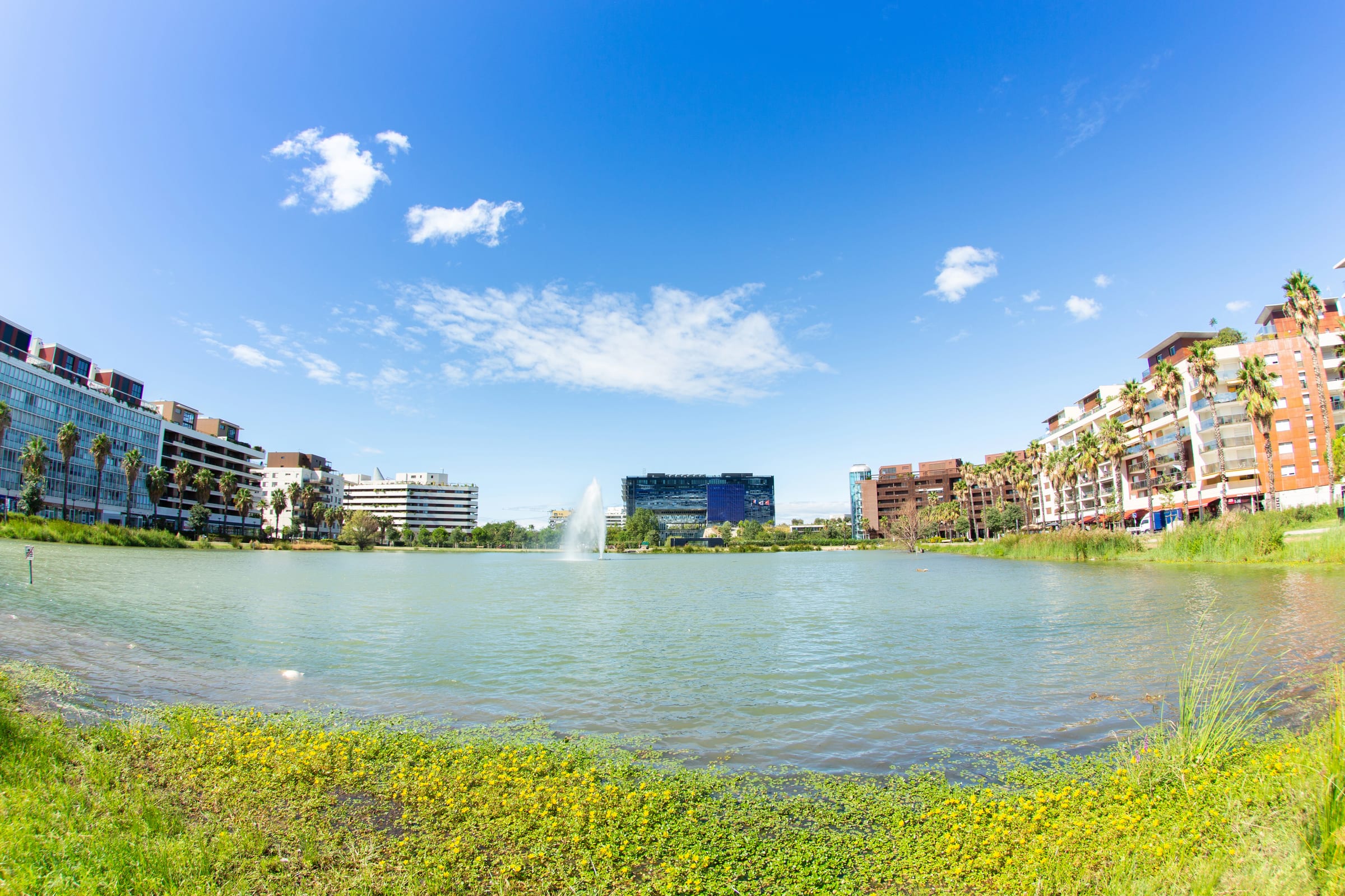 L'hôtel de ville et le bassin Jacques-Cœur