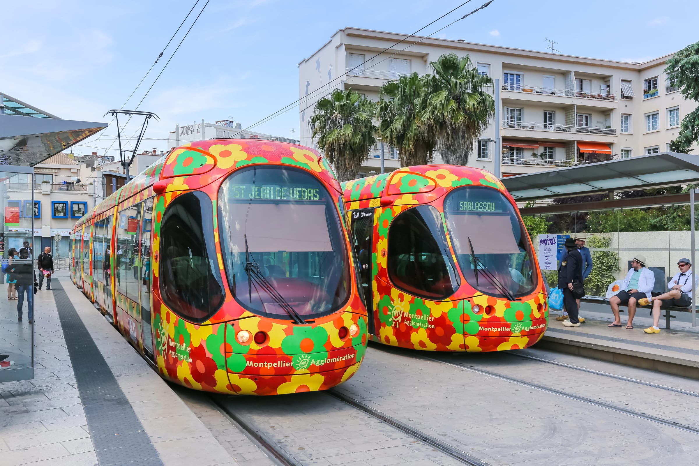 Deux rames fleuries de la ligne 1 du tramway