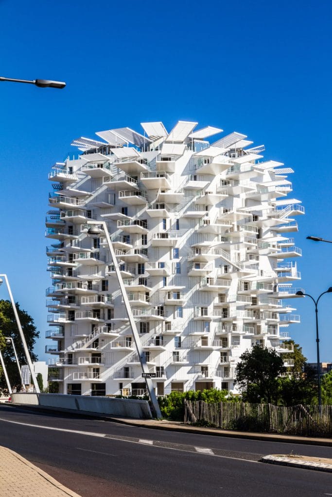 Arbre Blanc Montpellier