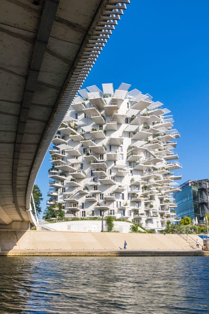 Arbre Blanc Montpellier