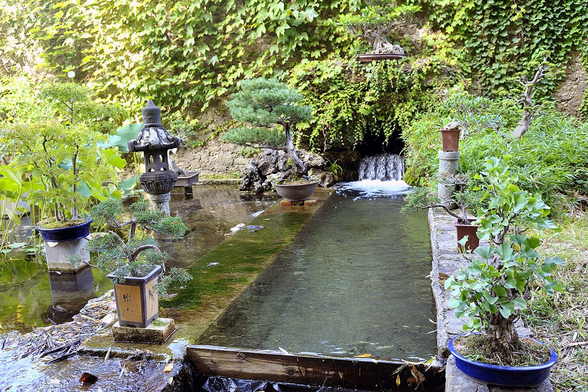 La Bambouseraie d'Anduze