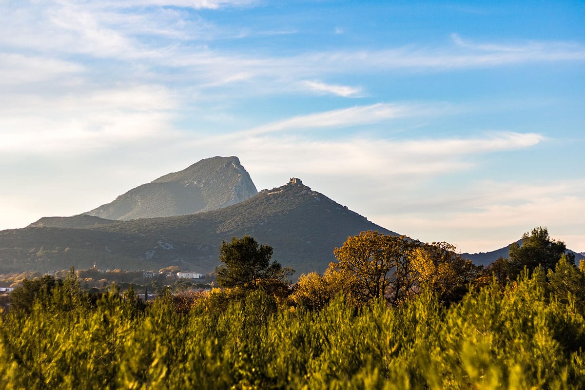 Pic Saint Loup
