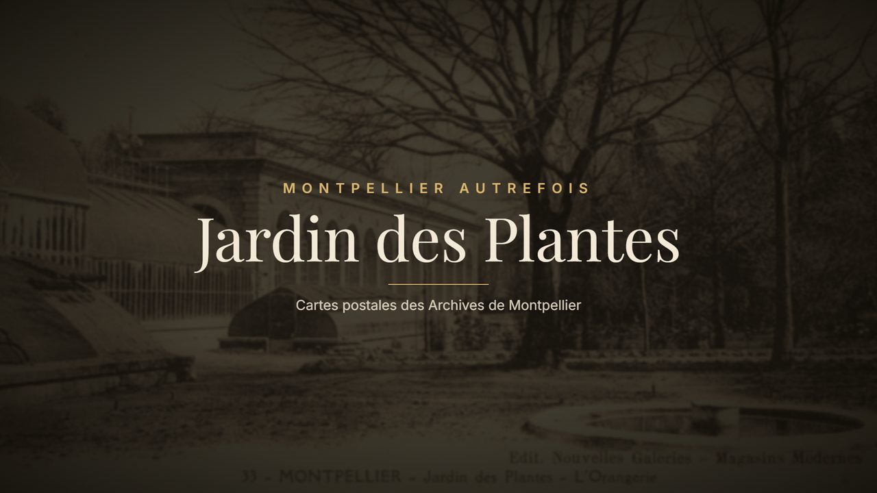 Jardin des Plantes autrefois