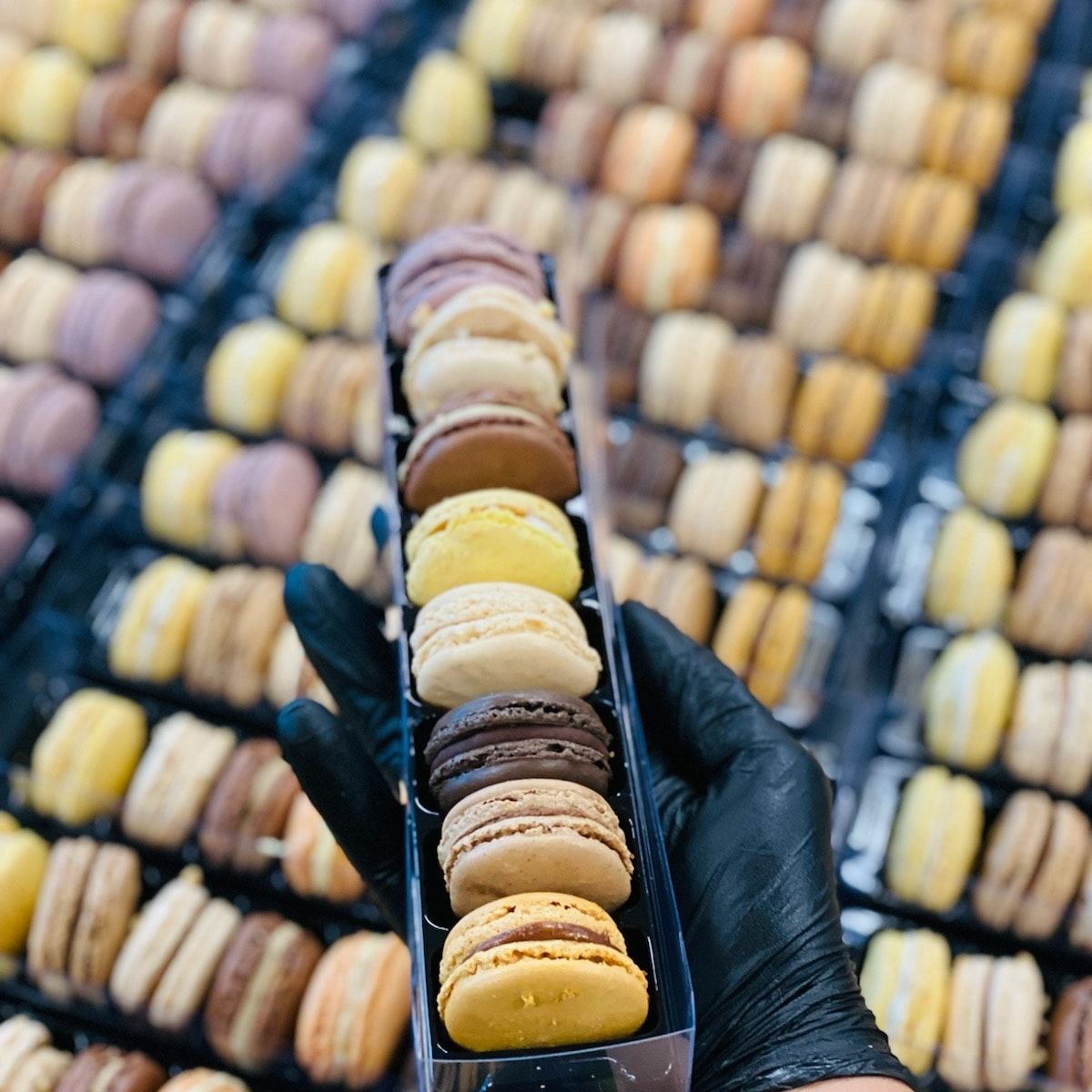 Chocolaterie Gonzalez — Jacou