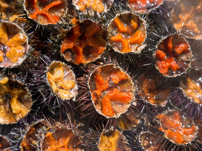 coquillages et crustacés — Sète